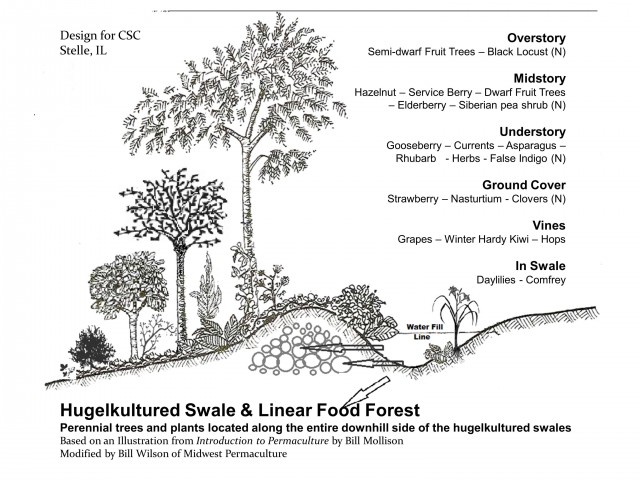 Permaculture Planting Concept